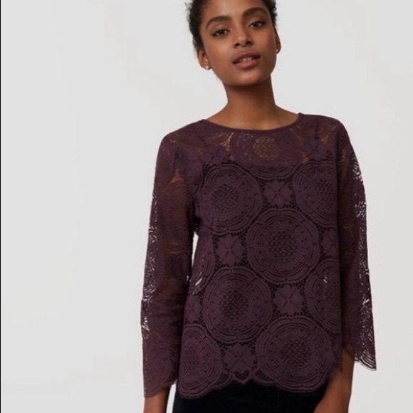 LOFT Lace Top - Picture 1 of 4